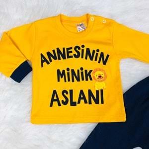 Annesinin Minik Aslanı 3 Ay Erkek Bebek Takım